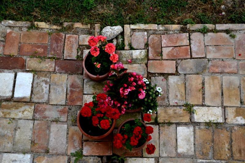 B&B Casale Fonte Vecchia Monteprandone Eksteriør billede