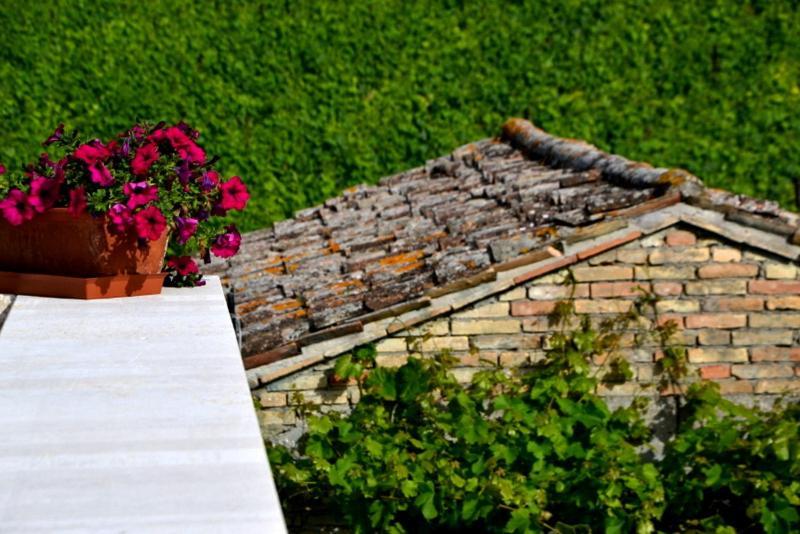 B&B Casale Fonte Vecchia Monteprandone Eksteriør billede