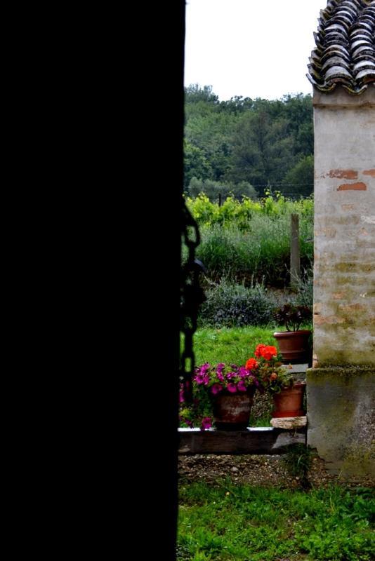 B&B Casale Fonte Vecchia Monteprandone Eksteriør billede